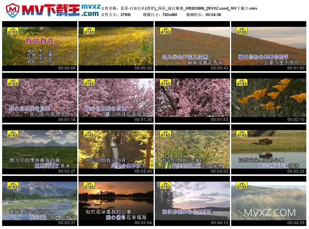 晏菲-自如自在(消伴)_国语_流行歌曲_MB203886